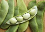 Lima Beans with Tomatoes and Dill Recipe