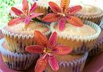 Zesty Blueberry Muffins Recipe