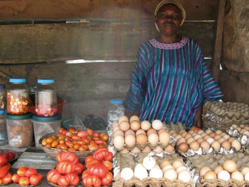 Kiva_101cookbooks