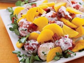 Potato-salad-su-1110245-l