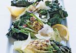 Grilled Lettuces with Manchego Recipe