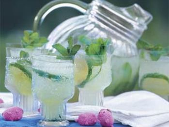 Mojitos-sl-1194648-l