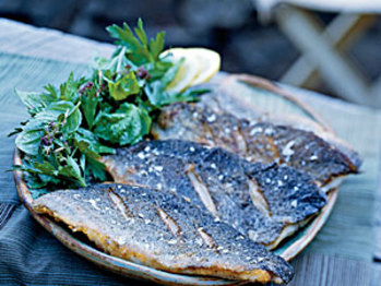 Trout-ck-1906349-l