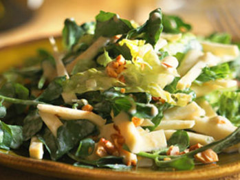 Watercress-salad-ck-222383-l
