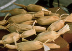 Pulled Chicken and Corn Tamales Recipe