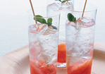 Grapefruit-and-Mint Mojito Recipe