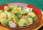 Summer Squash Salad Recipe