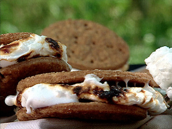 Fw1b17_smores_lg