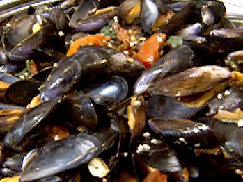 Ie0105_mussels_lg