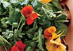Salad of Fresh Herbs and Greens with Fried Eggplant Recipe