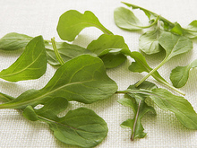 Roasted Yellow Oyster Mushrooms and Arugula Bruschetta with Basil Purée Recipe
