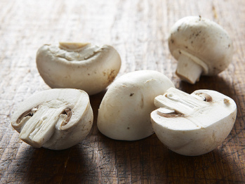 Recipe-10979