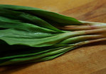 Pickled Ramps Recipe