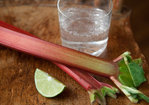 Rhubarb Lime Spritzer Recipe