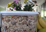 Swiss Bircher, my way Recipe