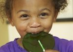 Sour Apple Lollipops Recipe