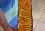 Texas Ginger Peach Tart with Pecan Crust Recipe