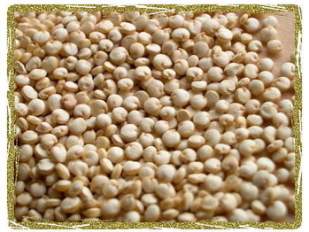 Quinoa_20grain_20crop_20027