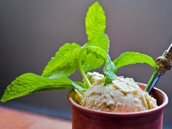 20110519-152486-mint-julep-ice-cream