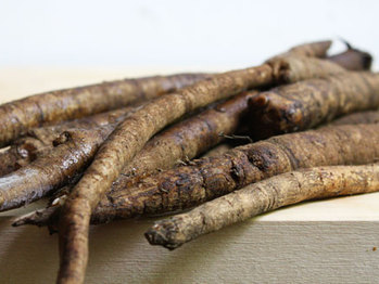 20100507-seasian-unwashedburdock