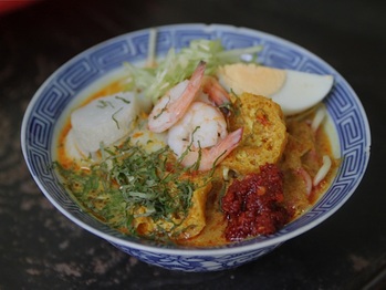 20110802-laksa-primary