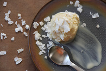 Coconut-Palm Sugar Ice Cream Recipe