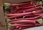 Hello there, Rhubarb! 10 of Our Favorite Baking Recipes Recipe