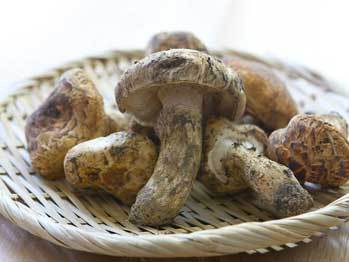 Recipe_6815_lg