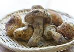 Matsutake Mushroom Dobin Mushi Recipe Recipe