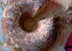 Apple Cider Doughnut Cake Recipe
