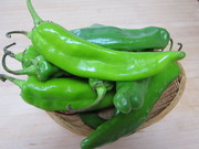 Hatch_chiles0001