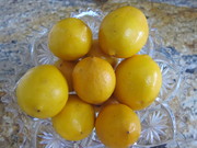 Meyer_lemons_for_curd0001