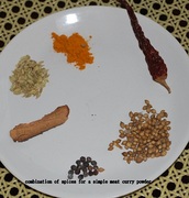 Spices