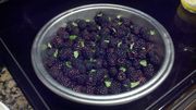 2011-04-30_22-25-02_807