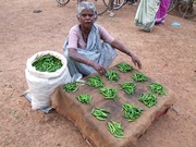 Cayenne_chili_peppers