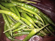 Cayenne