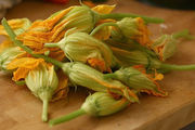 Zucchini