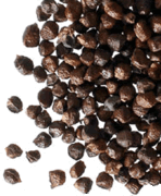 Grainsofparadise