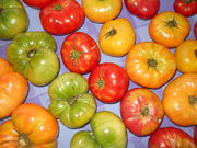 Dscn0205