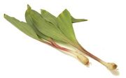 Ramps