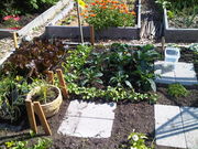Gardengrowing