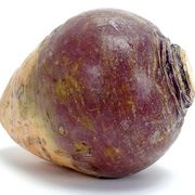 Rutabaga21