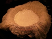 Ricotta