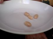 Photo_10