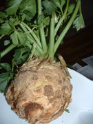 Shrekfruit_002