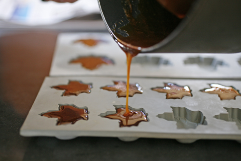 Maple Candy Maple Candy