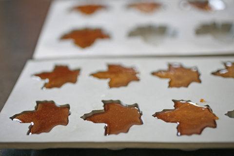 Maple Candy Maple Candy