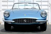 Blue Swan 0