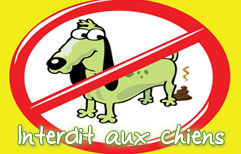 French Lesson - Get out of the park!
