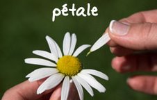 French Lesson - She loves me